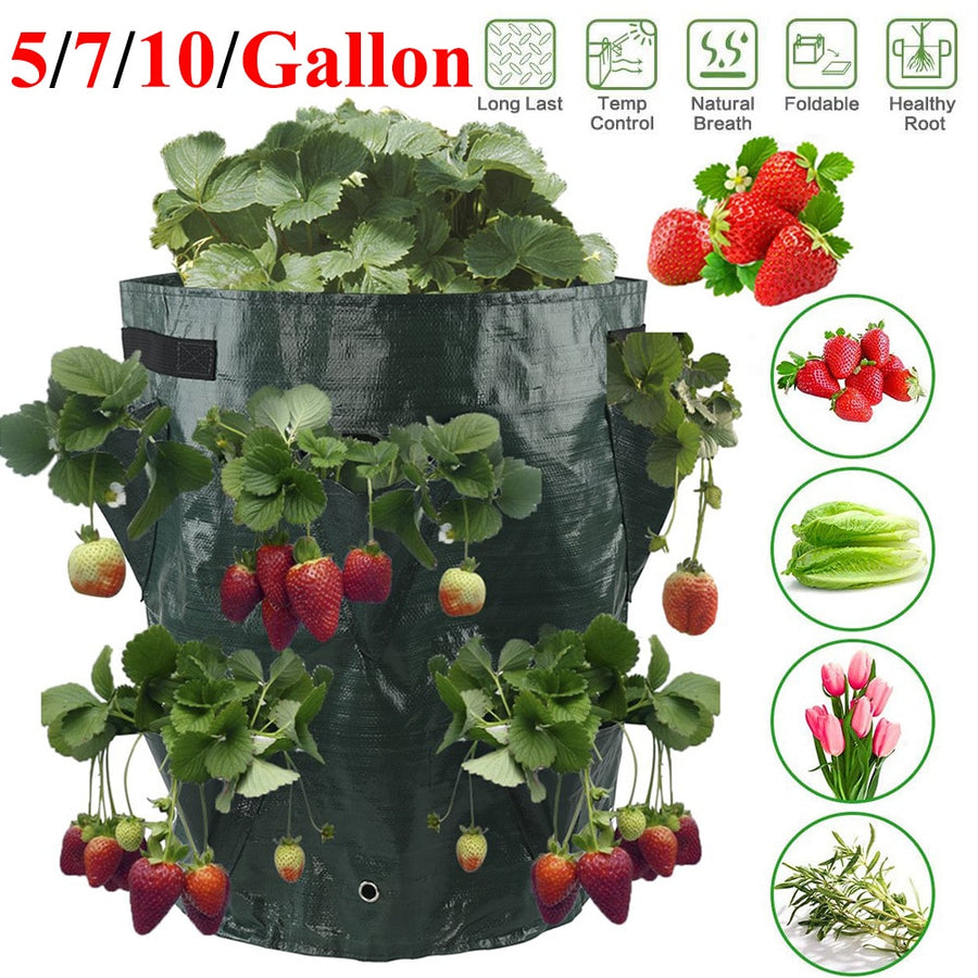 Strawberry Tomato Planting Growing Bag 5/7/10 Gallons